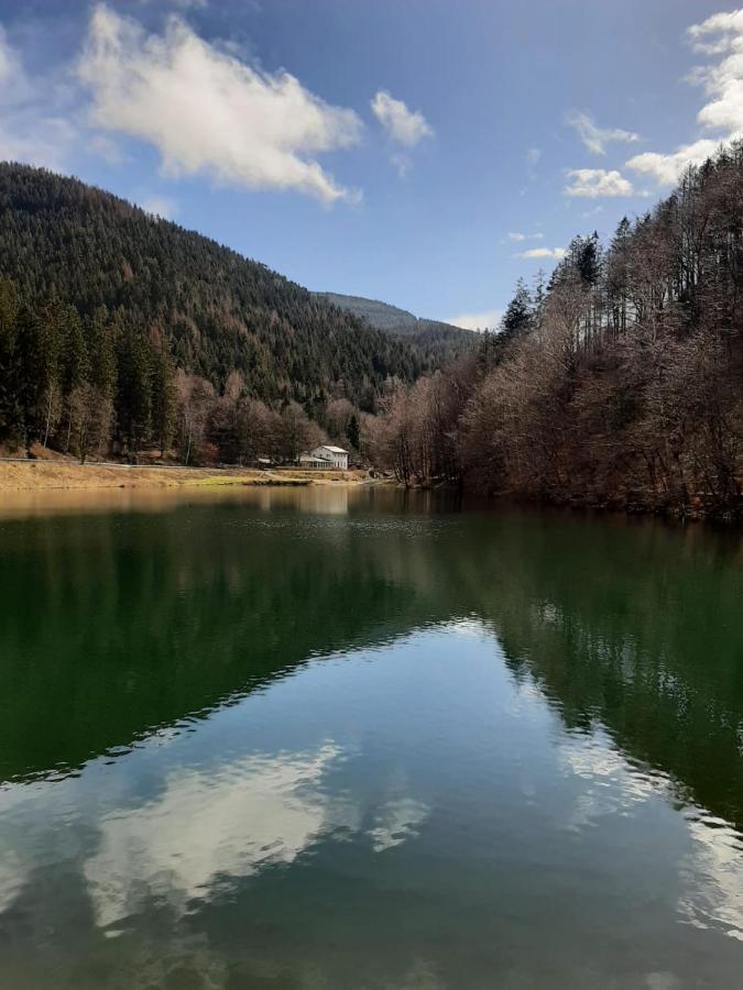 Bocksbergglueck In Hahnenklee, Endreinigung, Bezogene Betten, Handtuecher Inklusive Goslar Luaran gambar