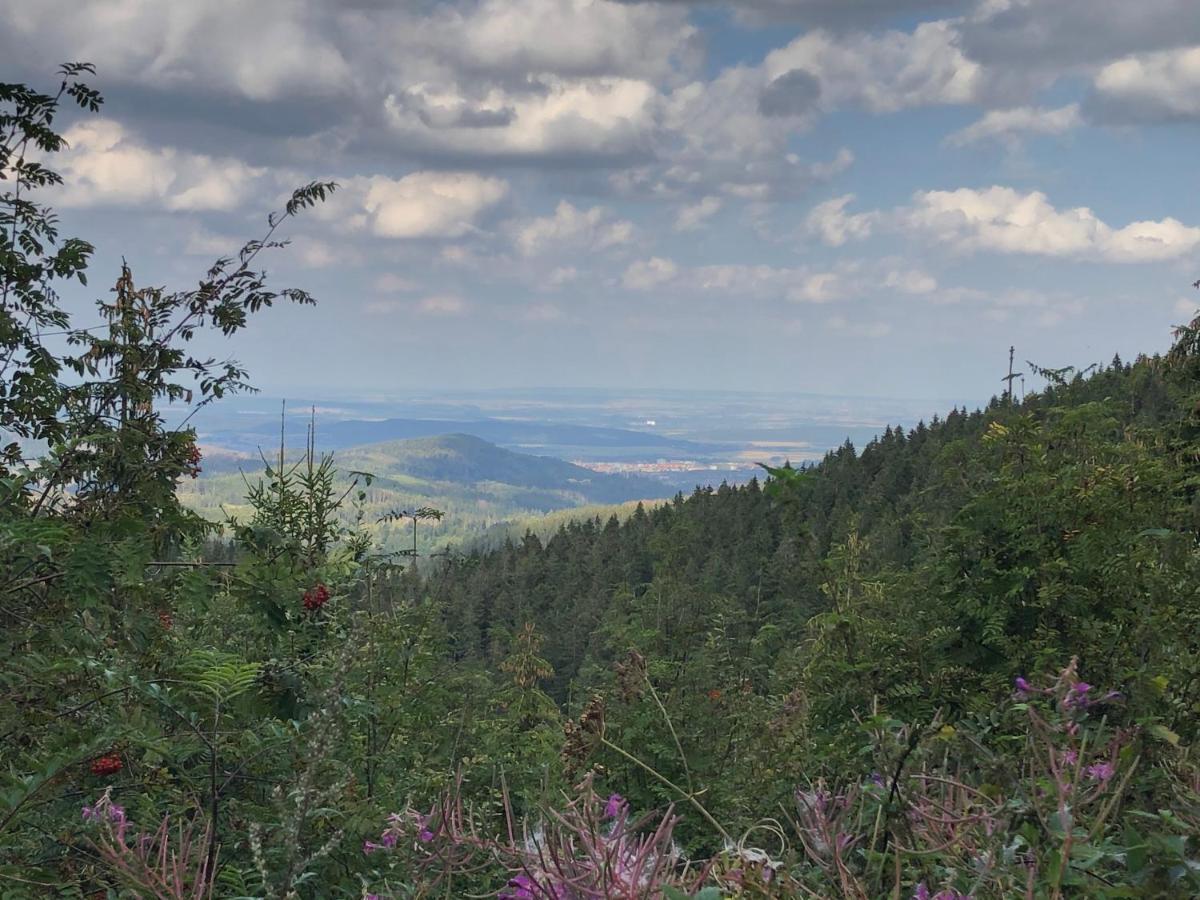 Bocksbergglueck In Hahnenklee, Endreinigung, Bezogene Betten, Handtuecher Inklusive Goslar Luaran gambar