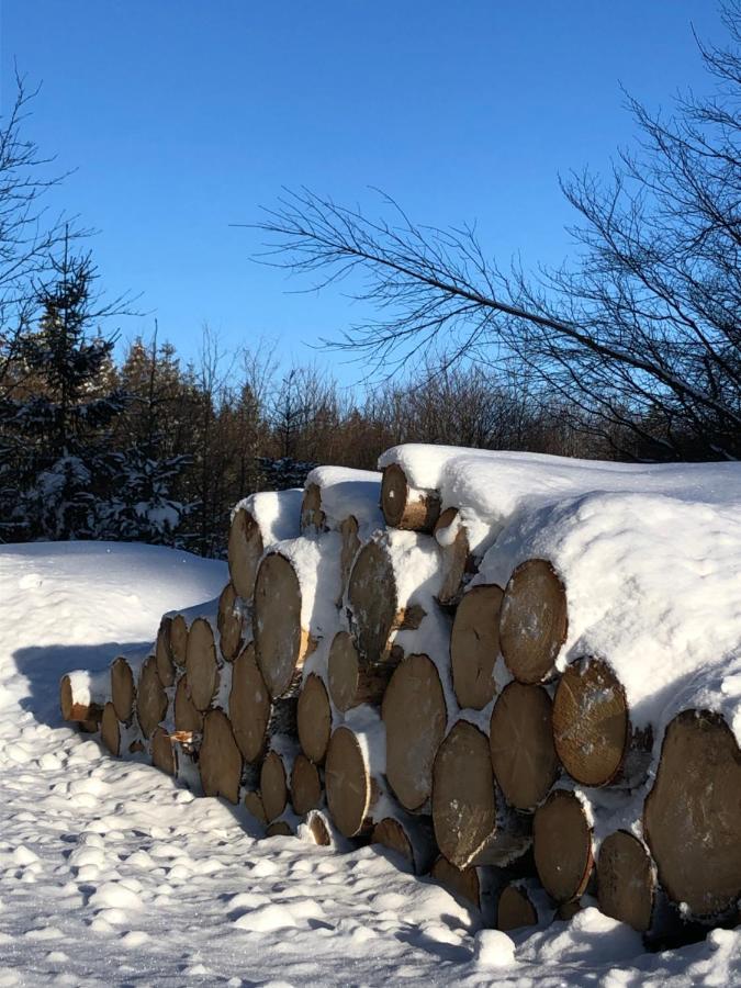 Bocksbergglueck In Hahnenklee, Endreinigung, Bezogene Betten, Handtuecher Inklusive Goslar Luaran gambar